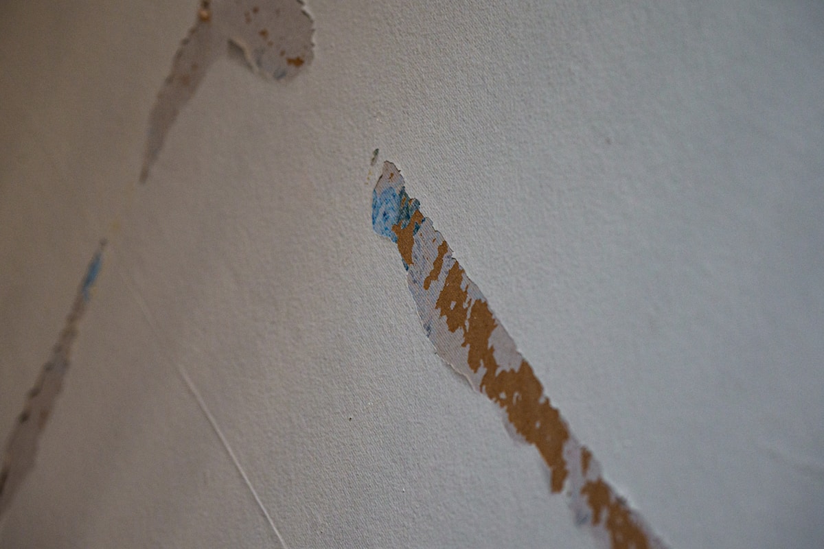 Mold Remediation service in North Little Rock, AR